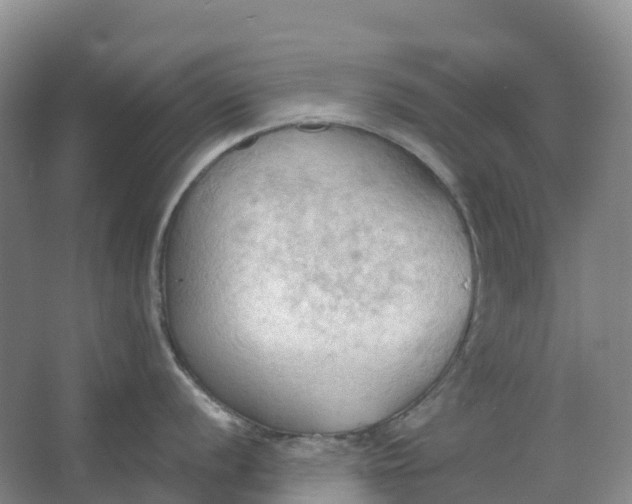 X0000062891056200601271643