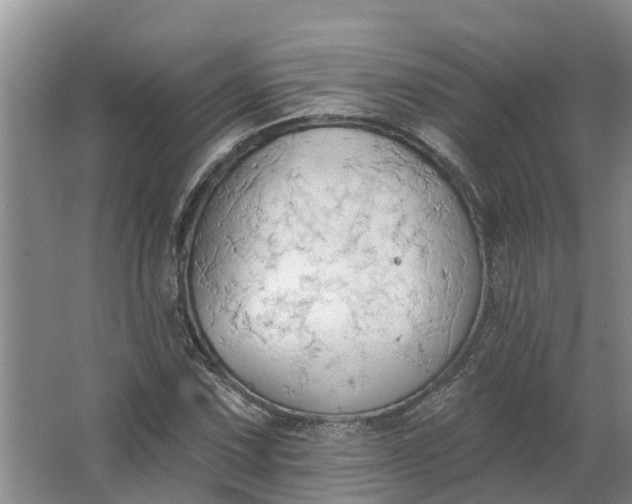 X0000062891067200601271642