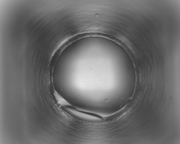 X0000062891069200601271642