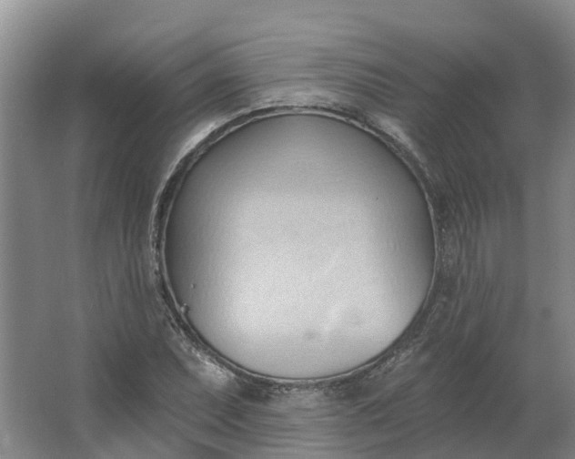 X0000062891071200601271642