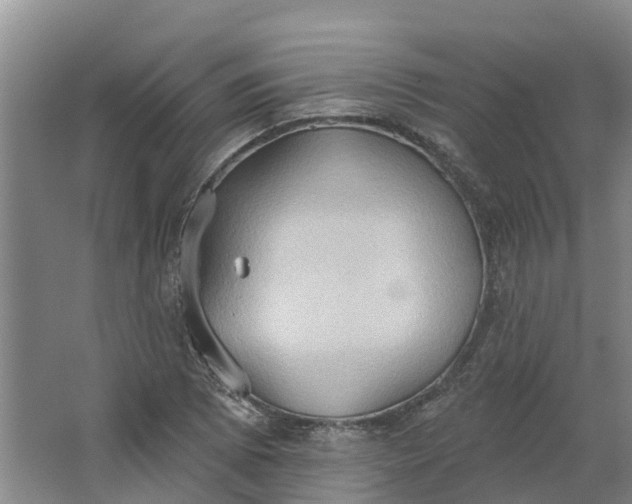 X0000062891073200601271642