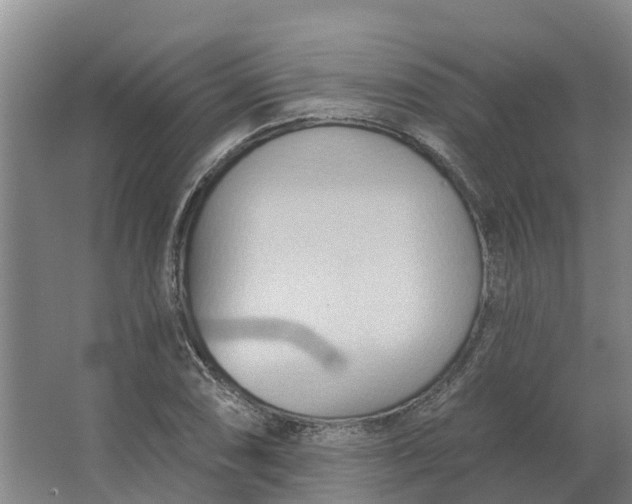 X0000062891074200601271641