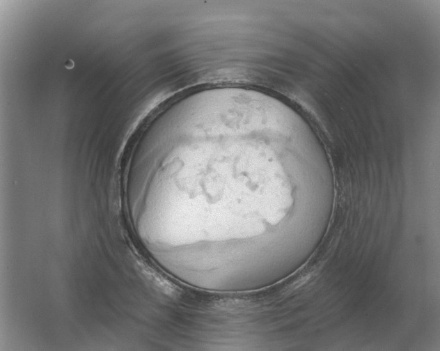 X0000062891075200601271641