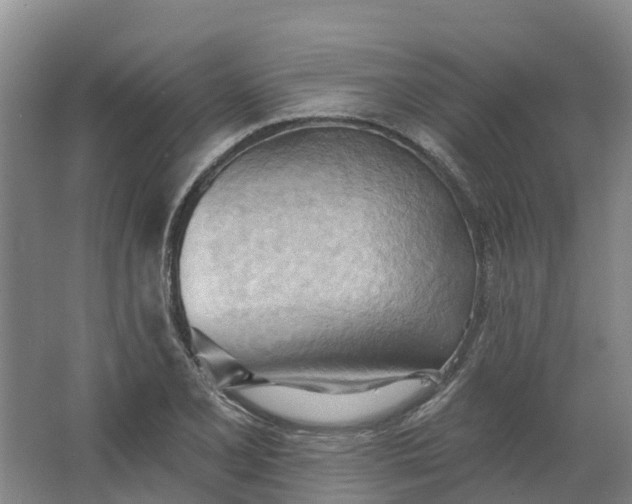 X0000062891077200601271641