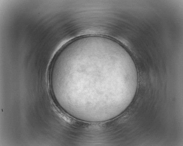 X0000062891078200601271641