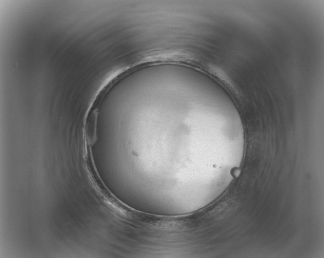 X0000062891079200601271641