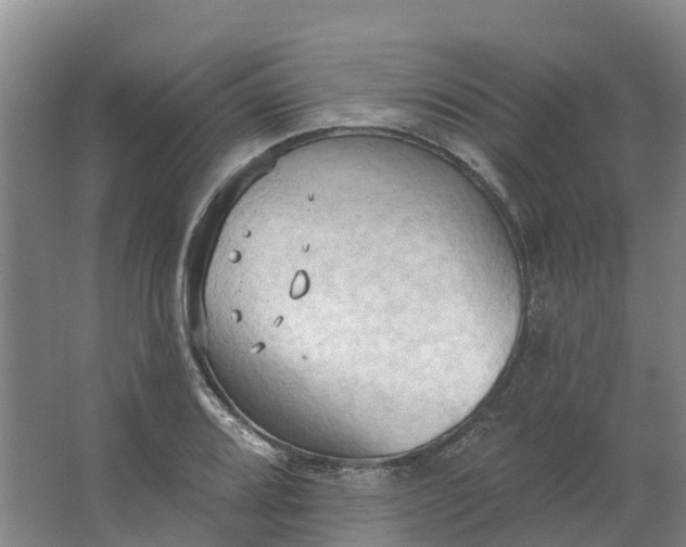 X0000062891080200601271641