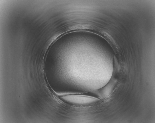 X0000062891081200601271641