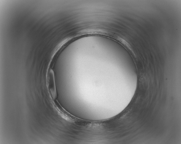 X0000062891082200601271641