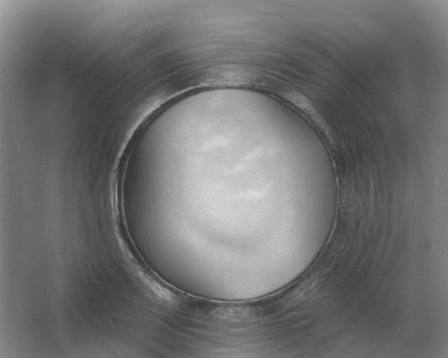 X0000062891083200601271641