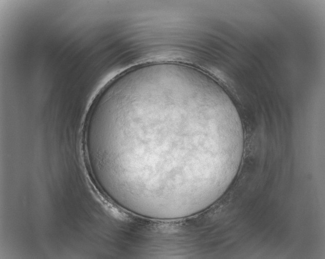 X0000062891086200601271641