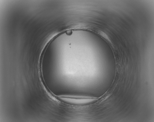 X0000062891087200601271641