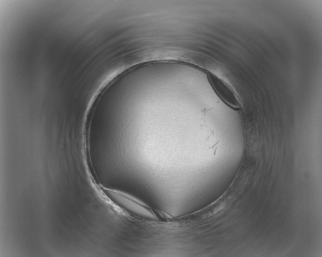 X0000062891088200601271641