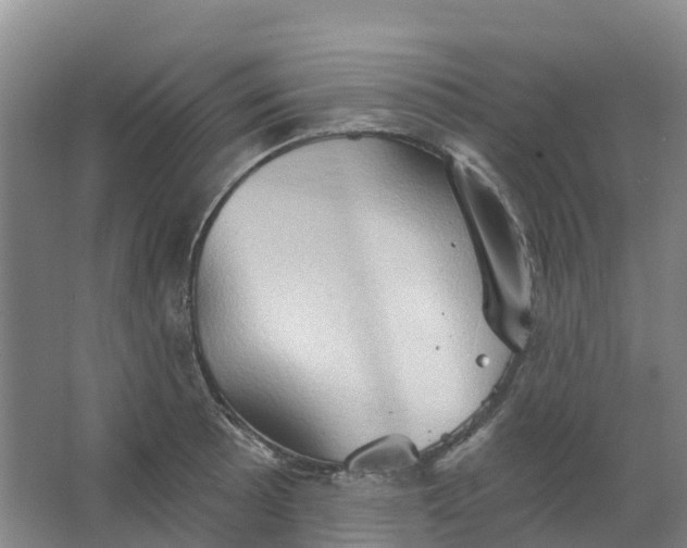 X0000062891089200601271641