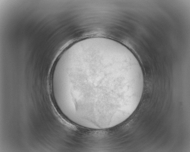 X0000062891090200601271641