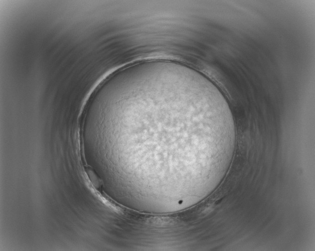 X0000062891092200601271641