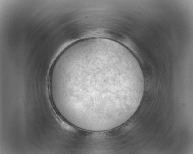 X0000062891094200601271641