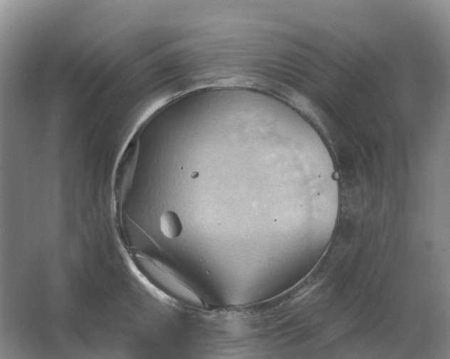 X0000062891095200601271641