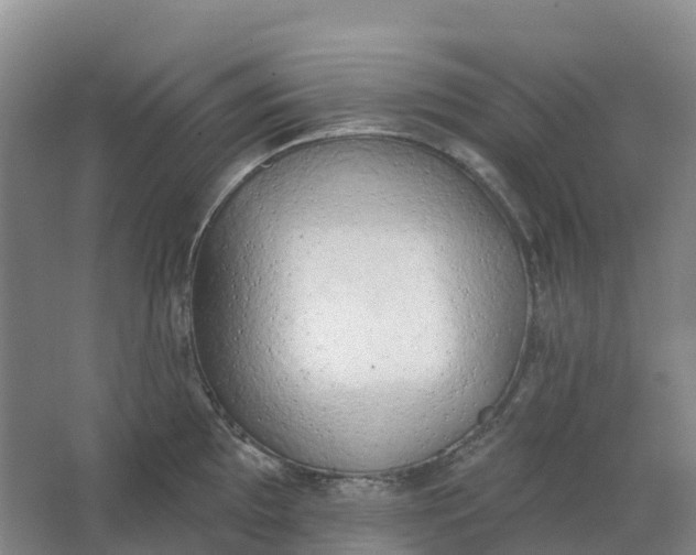 X0000062891097200601271641