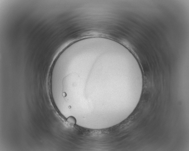 X0000062891098200601271641