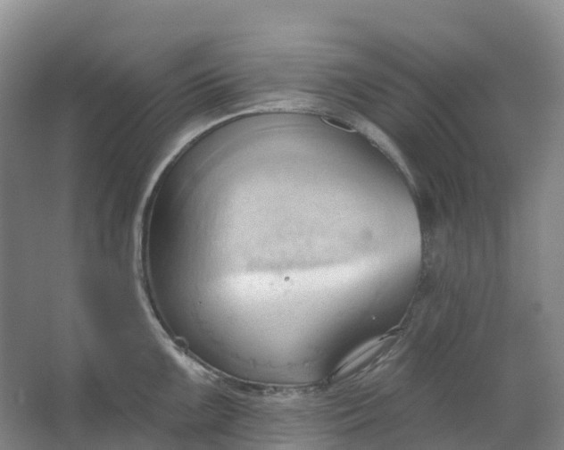 X0000062891099200601271641