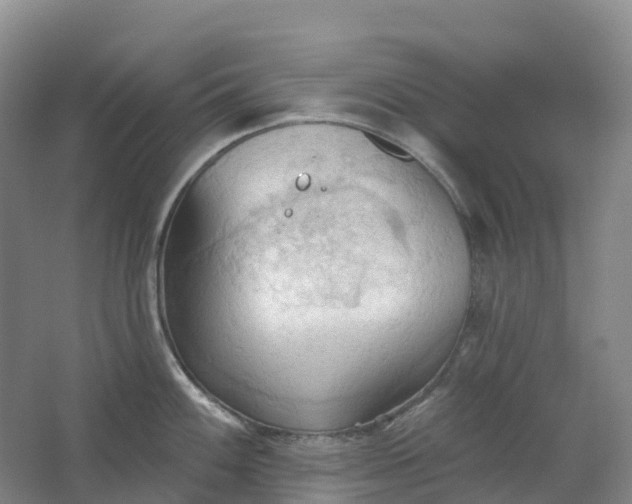 X0000062891100200601271641