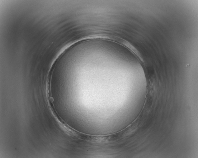 X0000062891101200601271641