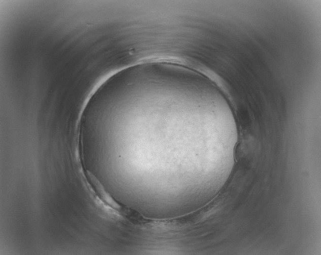 X0000062891102200601271641