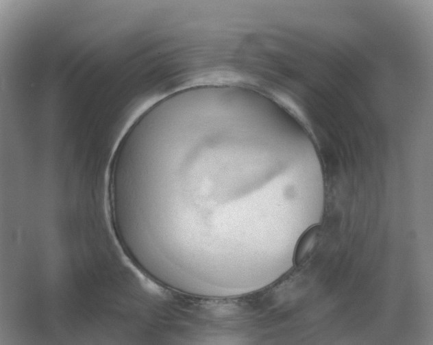 X0000062891103200601271641