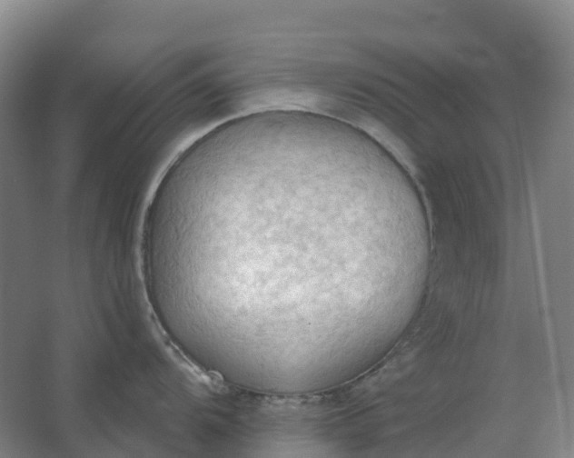 X0000062891104200601271641