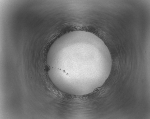 X0000062891105200601271640