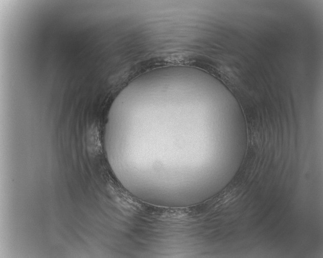 X0000062891106200601271640