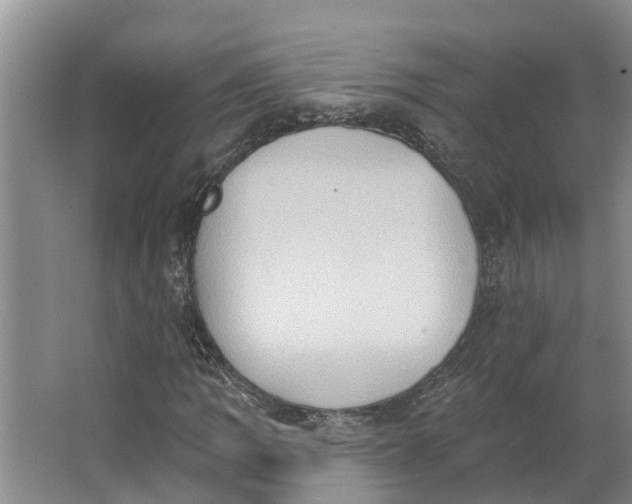 X0000062891109200601271640