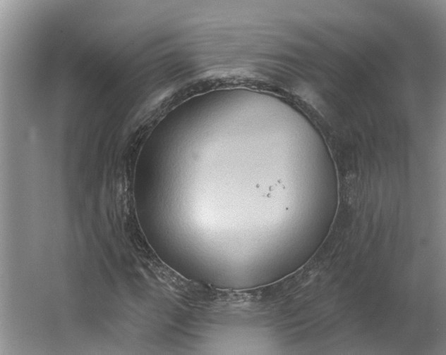 X0000062891111200601271640