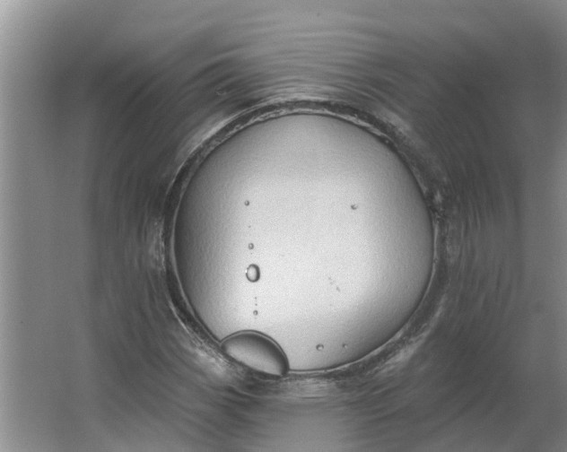 X0000062891113200601271640