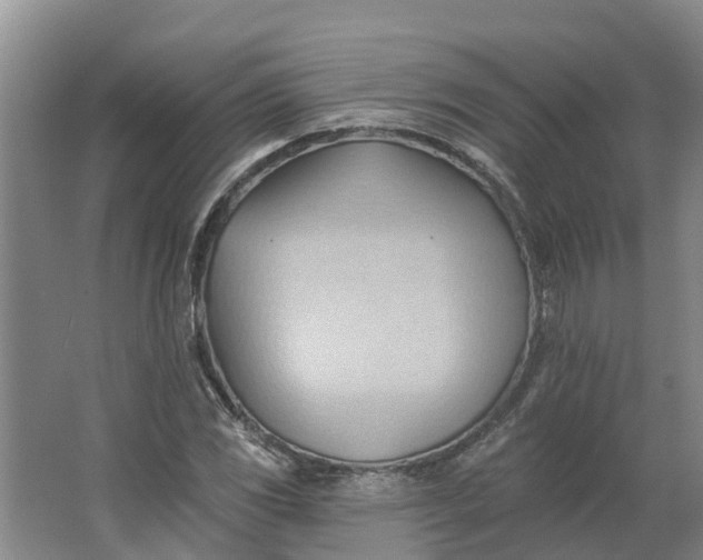 X0000062891117200601271640