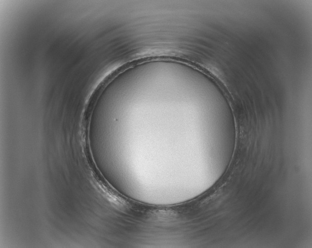 X0000062891119200601271640