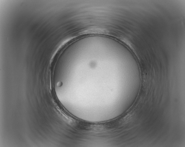 X0000062891123200601271640