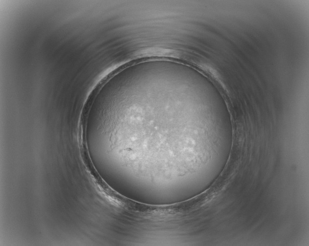 X0000062891125200601271641