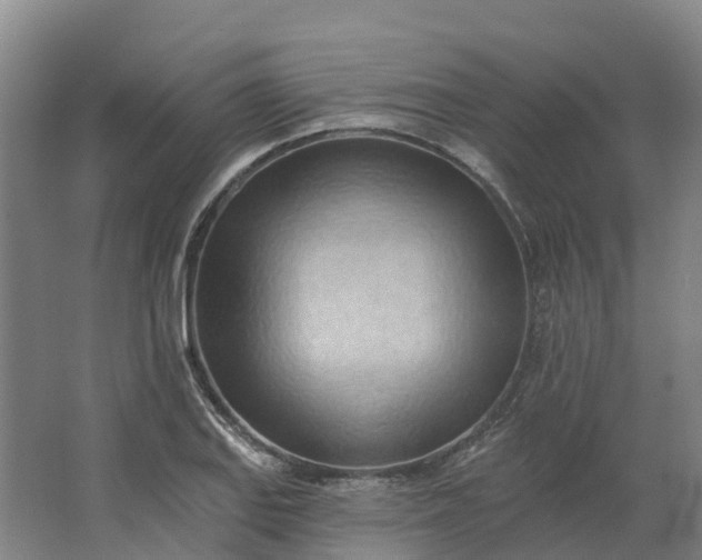 X0000062891127200601271641