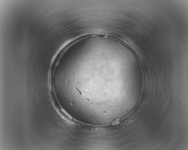 X0000062891128200601271641