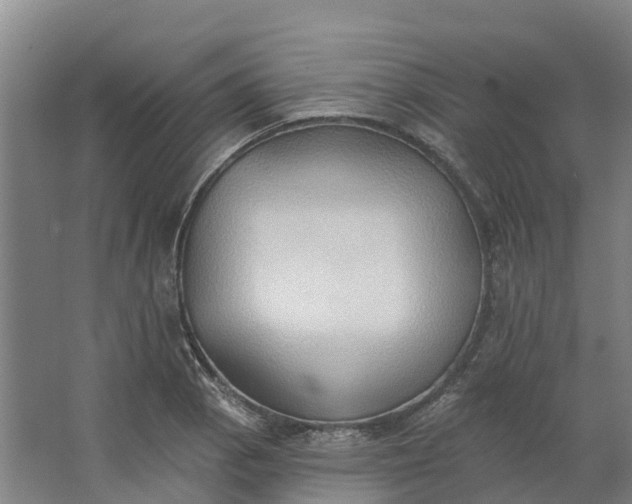 X0000062891129200601271641