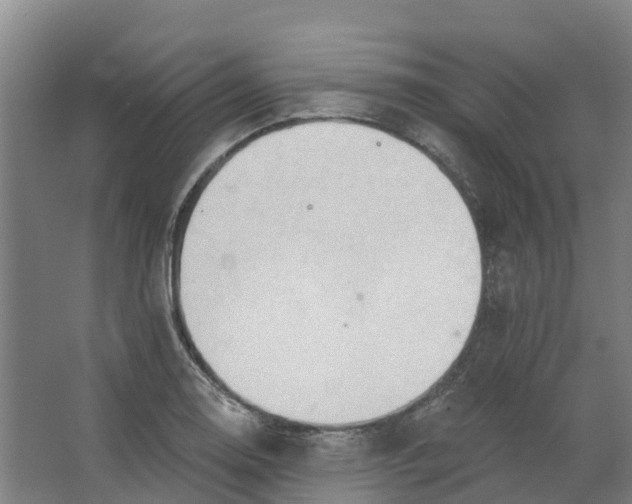 X0000062891130200601271641