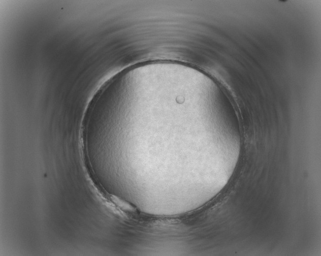 X0000062891133200601271641