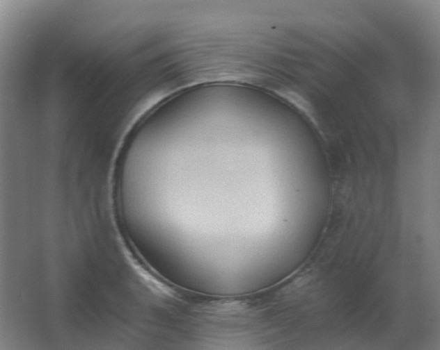 X0000062891135200601271641