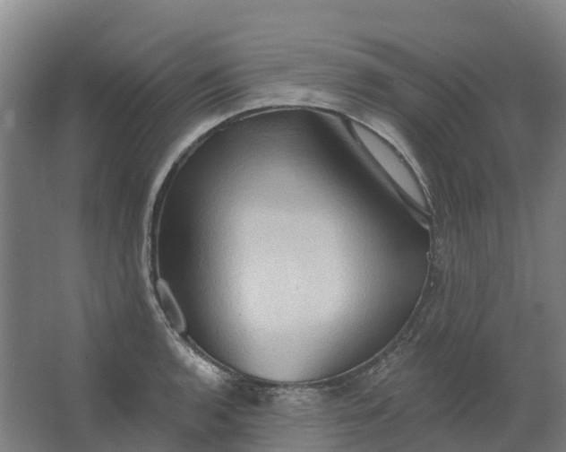 X0000062891136200601271641