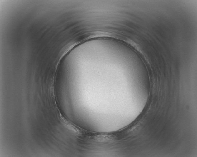 X0000062891137200601271641