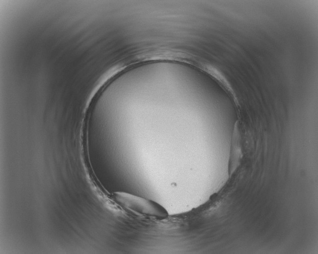 X0000062891138200601271641