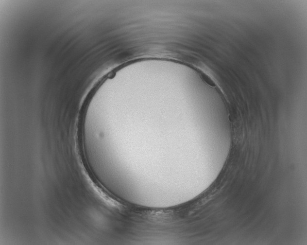 X0000062891139200601271641