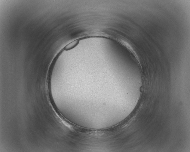 X0000062891141200601271641